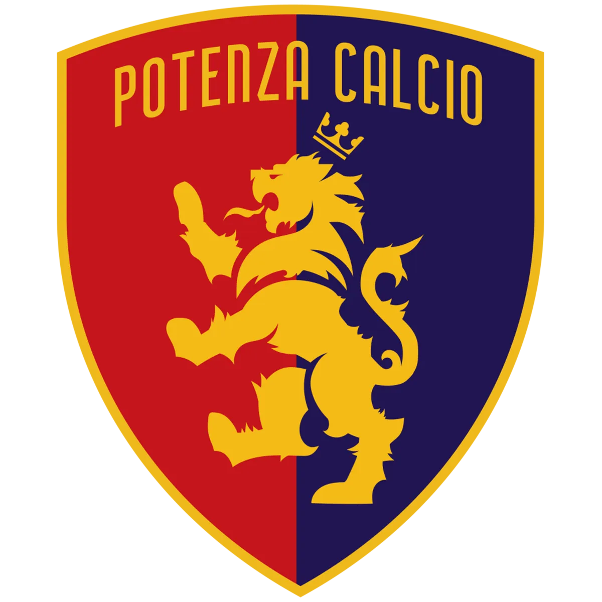 Scopri di più sull'articolo POTENZA CALCIO